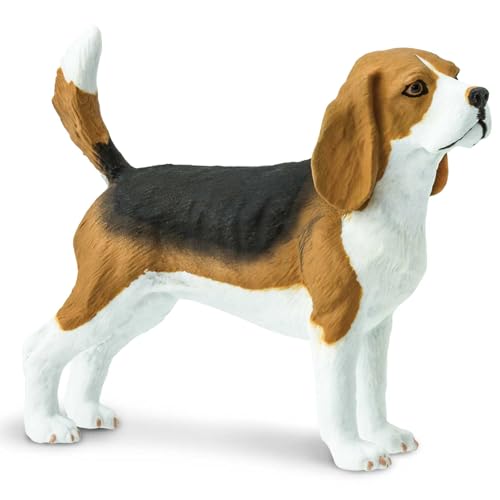 Safari 254929 – Hund Beagle