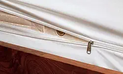 Revestimento de colchão à prova de ácaros e alérgenos (capa); 'microfibra premium' (Queen; 30 cm de profundidade)