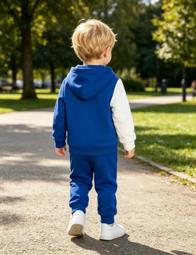 Image of Toddler Boy Clothes Long Sleeve Hoodie Sweatsuits Tops and Pants 2Pcs Boys Fall Winter Outfits Set