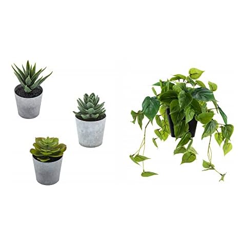 LuckyGreenery Artificial Succulents Set of 3 and Scindapsus Aureus Realistic Fake Plants Home Office Bathroom Indoor Decor Cover
