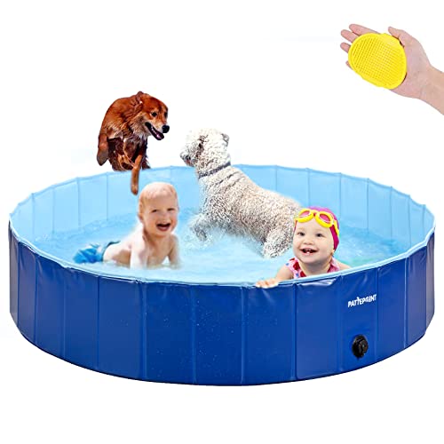 xl foldable dog pool