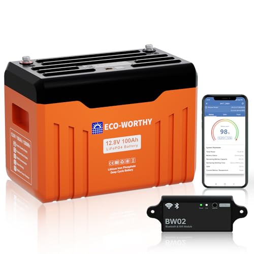 ECO-WORTHY 12V 100AH LiFePO4 Lithium Battery with Battery Status Display,100A BMS with Low-Temp Protection and Bluetooth, for Motorhomes, Camping, Trolling Motor,Campervan,Boat