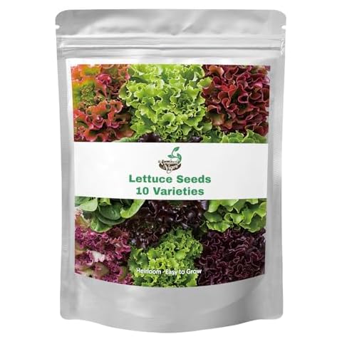 20,000+ Lettuce Seeds by Verdant Vigor Cover