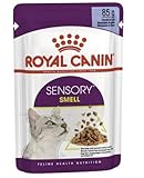 Royal Canin Sensory Smell In Jelly Nassfutter für Katzen, 12 x 85 g