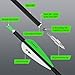 Powants 31inch Carbon Arrow Archery Targeting Practice Hunting Arrows for Compound & Recurve Bow with Removable Tips(Pack of 12) (Green)