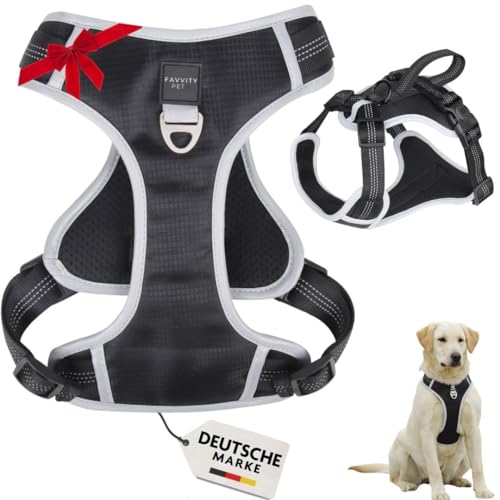 Hundegeschirr Mit Leine – Reflektierend, Gepolstert, Verstellbar Größe XL, Für Große Hunde & Outdoor-Aktivitäten