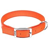 Remington Orange 1-Inch by 20-Inch Reflective Dog Collar