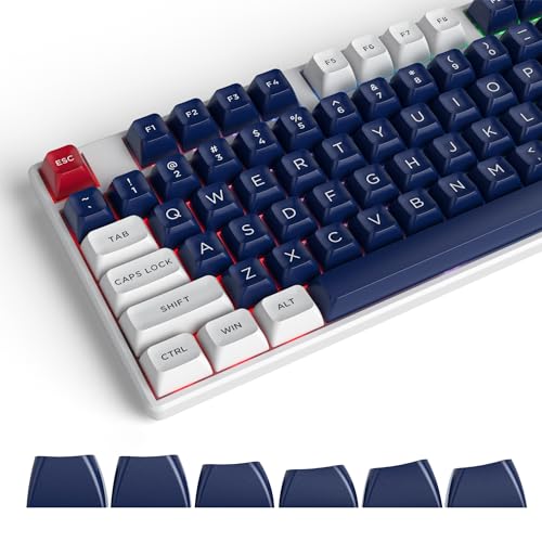 150 キーカスタムキーキャップ ASA プロファイルダブルショット ABS キーキャップセット互換性またはチェリー Gateron MX スイッチメカニカルキーボード(Snow Blue) 150 キーカスタムキーキャップ ASA プロファイルダブルショット ABS キーキャップセット互換性またはチェリー Gateron MX スイッチメカニカルキーボード(Snow Blue)