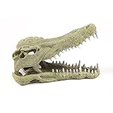 Terratlantis TD Crocodile Head 32,5Cm