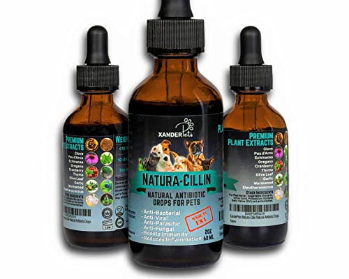 Herbal Dog UTI Treatment - Natural Dog Antibiotics - Dog ...