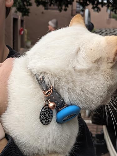 Rogz Urban Katzenhalsband, türkisfarbener Mond mit Sicherheitsschnalle