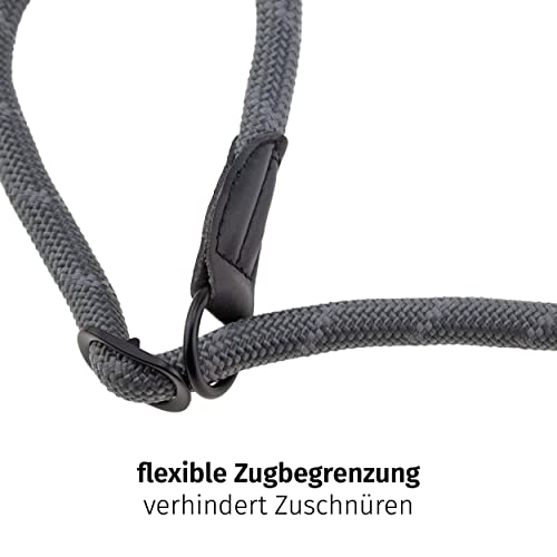Floxik Retrieverhalsband grau | Robustes Dressurhalsband mit Zugstopp für mittelgroße und große Hunde, Halsumfang 30-60 cm, Ø 1,2 cm