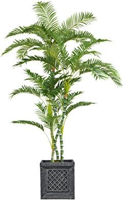 Vintage Home VHX112215 Palm Tree Planter, 78"