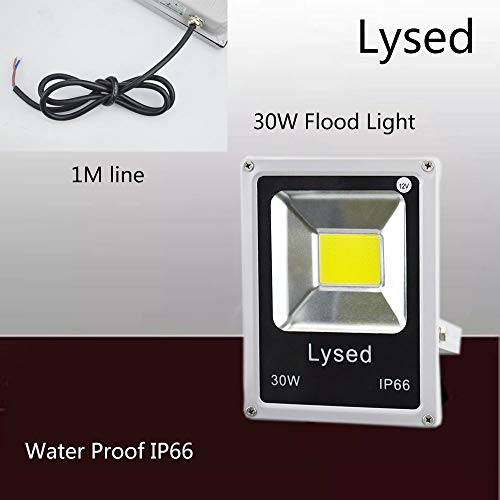 Lysed 12 Volt Flood Light Bowfishing Lights 30W Low Voltage Flood Lights Outdoor Ip66 Waterproof (White Light 2Pack) #TOP4