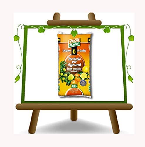 Terriccio per Agrumi Vigor Plant 45 L