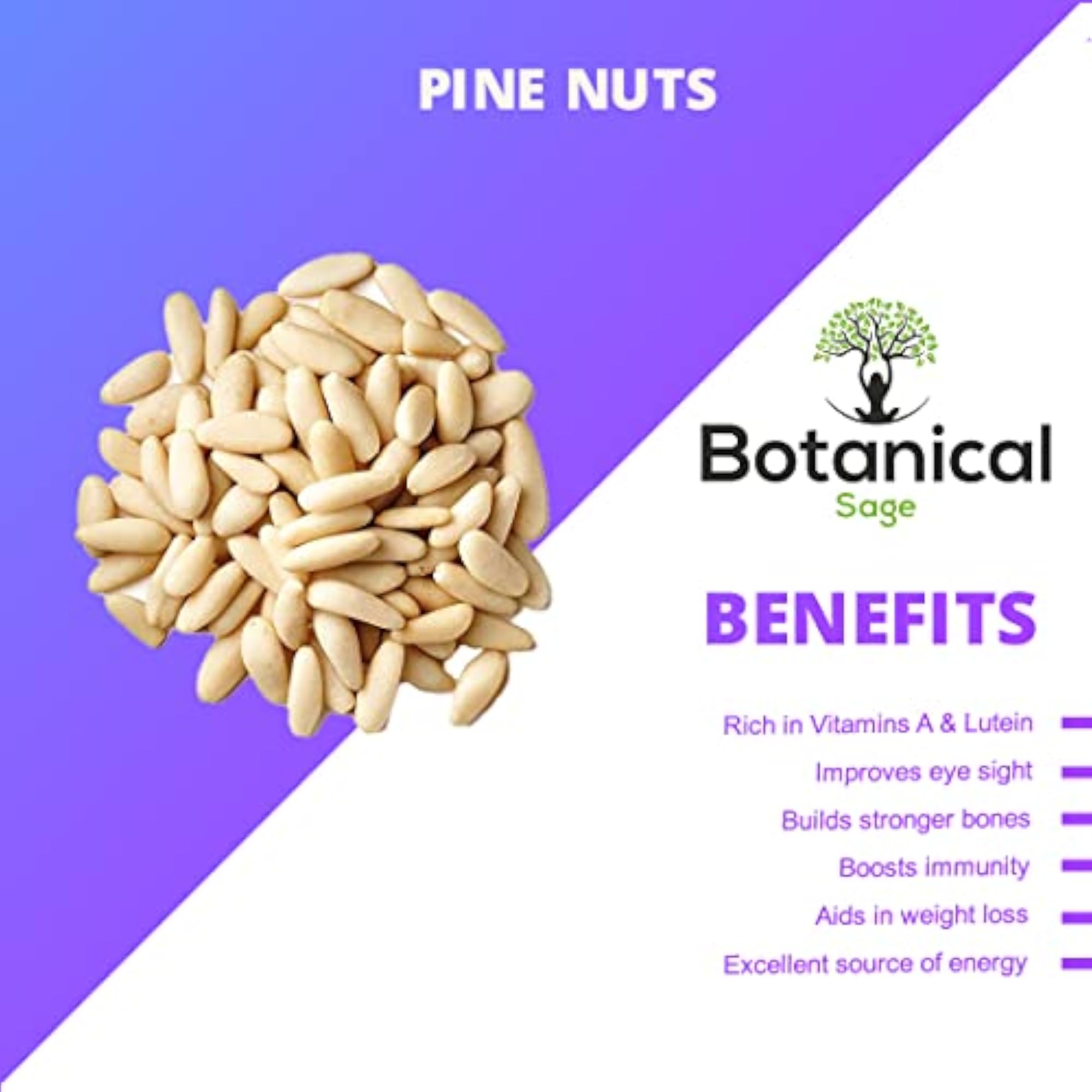 Botanical Sage Lebanon Pine Nuts, Jumbo Chilgoza Seeds