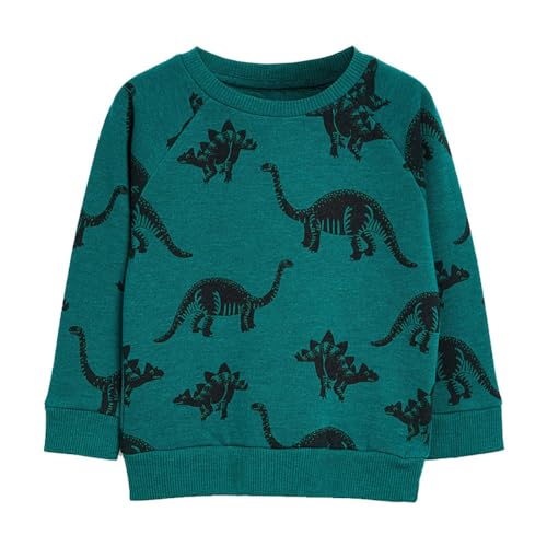 Boys Sweatshirts Long Sleeve Sweatshirts T-shirts Crew Neck Cotton Casual Sweatshirts Cartoon Tops for Boys-57