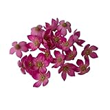 Material : Thai Air Dry Clay Approx measurements : 3.5 cm in width, 1.5 cm in height Perfect for jewelry making both beginners and experieced crafters. These flowers are manufactured in batches, flowers from different batches can vary slightly in col...