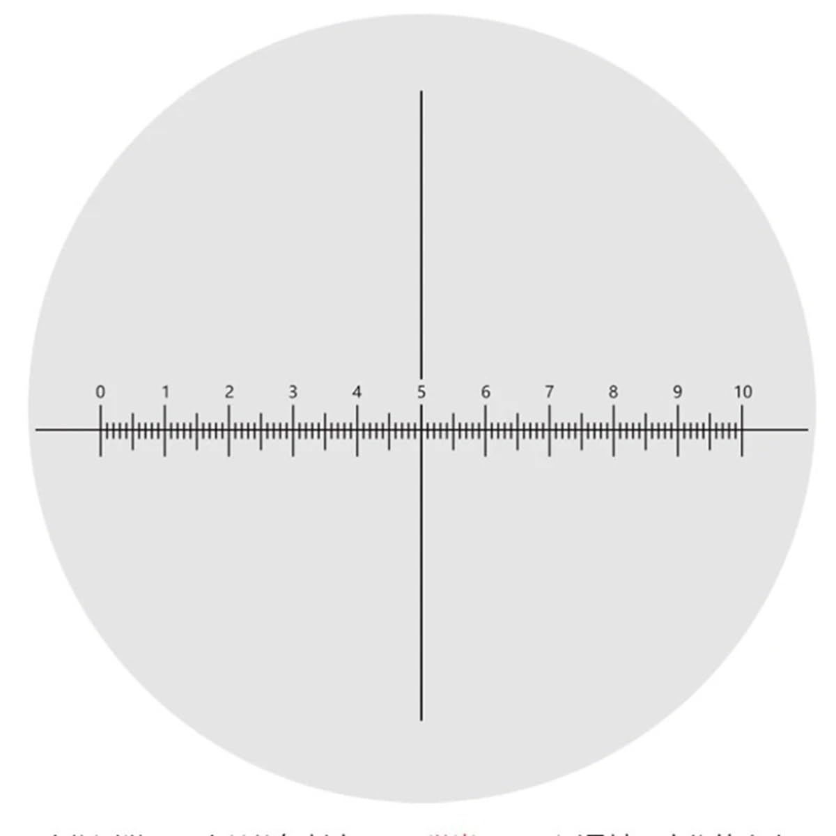 Microscope WF10X/20 mm Microscope Eyepiece with Reticle Scale Mounting Size 23.2mm for Biological Microscope, Wide Angle High Eye Points