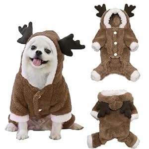 Vêtements de Noël pour Animaux de Compagnie,Vêtements de Renne de Noël pour Chiens, Costume pour Chien de Noël, Vêtements de Noël pour Chiens, pour Petits et Moyens Animaux de Compagnie(M) 41uo3ki8nVL. SS300