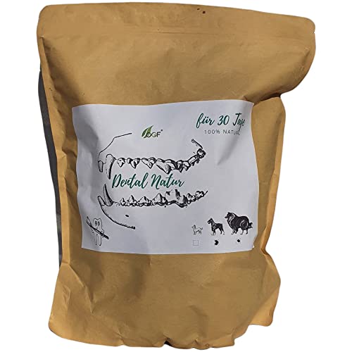 Hygiène dentaire dentaire pour chiens - 100 % naturelle - Aide au brossage des dents - Friandises naturelles OGF (L) - Image 3