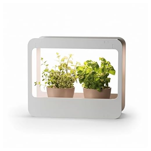 Romberg 16294399 Mini-Garten mit LED-Beleuchtung, Weiß, 50,5 x 21 x 40 cm