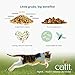 Nuna Treats, Leckereien für Katzen auf Insektenproteinbasis, Insektenproteinen und Hering, 60g