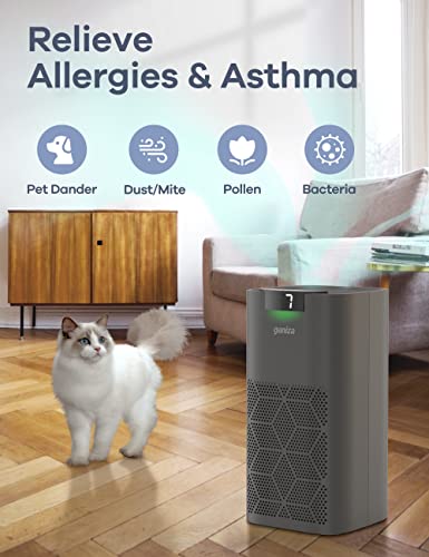 Air Purifiers For Home Large Room, Ganiza 1570Ft² 23Db Less Noise Air Purifiers For Pets Remove 99.97% Pet Hair Dander Pollen Smoke Dust, Air Quality Monitor, H13 Hepa Air Purifiers, Odor Eliminator #TOP3