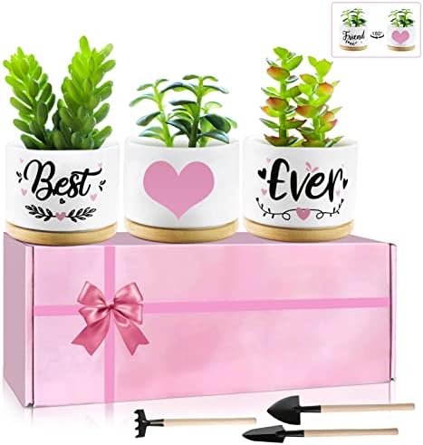 Birthday Gifts for Friend Teen Friendship Gifts for Women Boyfriend Female Best Friend Succulent Plant Pots Garden Shovel Set with Gift Box Cute Friend Gifts for Plants, Gift Boxed Planter Gift Set
