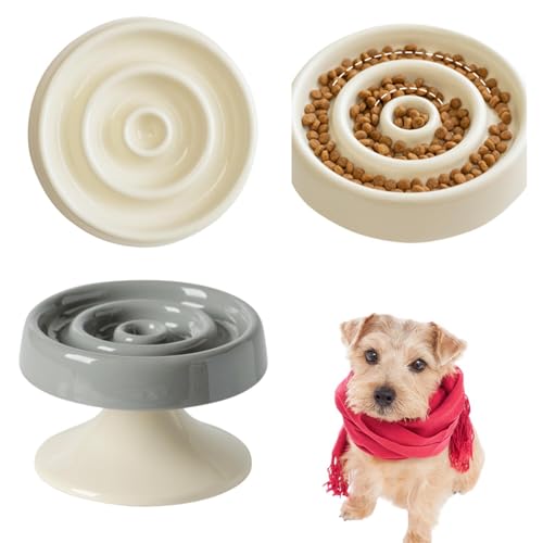 Lifetips m[tH[NeA m[tH[N Lp X[t[h{E ؐ Hh~ ~ HZbg ^ L  􂢂₷ i-̌^^CvO[j