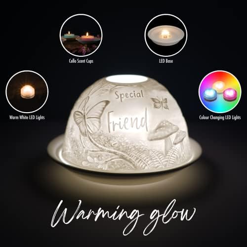 Cello Porcelain Tealight Holder Dome, Special Friend Woodland Design, A stunning candle holder projecting a 3D image or loving message. Suitable to be used with scented and unscented tealights.