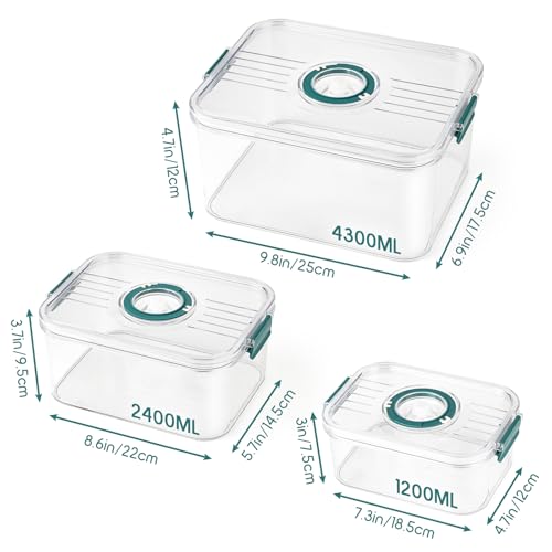 GIOVARA Sealed breads Box Plastic 3 Breads Storage containers, containers Air Tight Bread Box, Bread container to keep it fresh, breads Bins For Kitchen for Pastry, Cookie, Fruit, meat, Veggie - Image 3