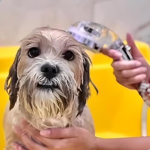 Ducha Ionizada, Chuveiro, Ducha Para Lavatório, Pedras Minerais, Salão de Beleza, Alta Pressão, Filt