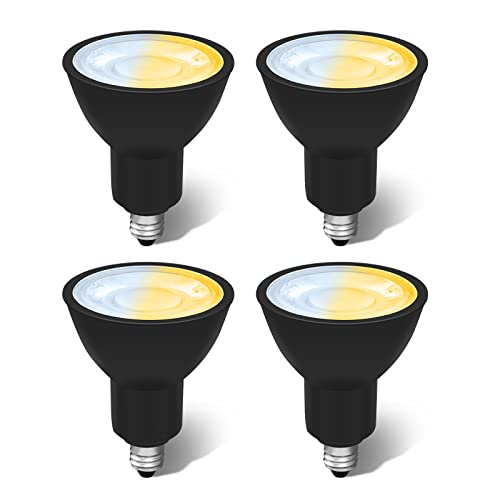 Ɩ SZbg LEDX|bgCg E11 F 50W` nQd GT-SP-6W-E11CTB-4B RΉ dF F F _CjO rO Lb` gC  L Px ȃGl   led