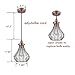 YUBOLE Pendant Lighting Cracked Glass Vintage Wire Cage Ceiling Pendant Light, Red Antique Copper