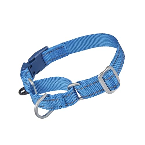 Keep Your Pup Safe and Secure with These Top 10 No Slip Dog Collars A