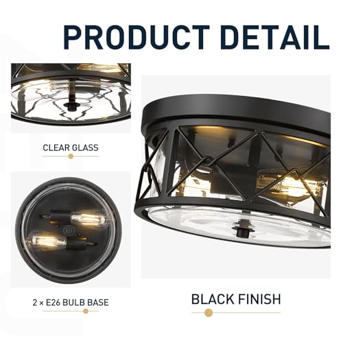 Image of zeyu 2-Light Flush Mount Ceiling Light Fixture, Clear Glass, ZY25-F BK