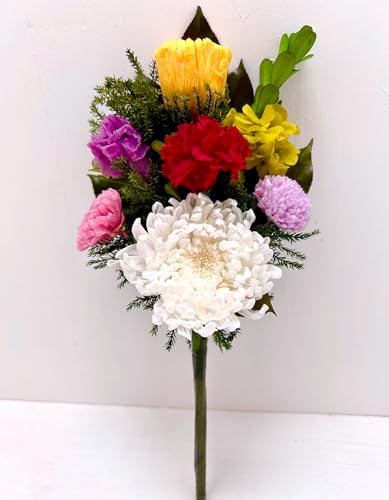 ފ  䋟 ]     d @v vU[uht[ ֋e (1 Pi, ֋e FJԗ֋e F)