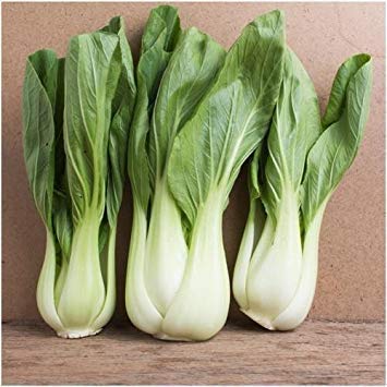 Package of 300 Seeds, Pak Choi White Stem Cabbage Seeds (Brassica rapa)