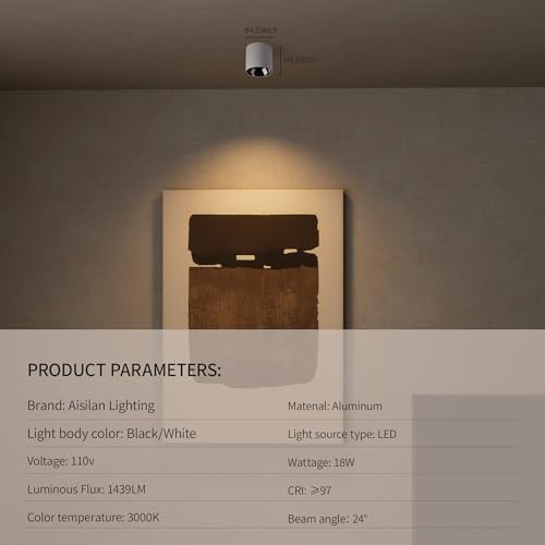 Image of Aisilan Modern LED Downlight Spotlight Indoor, 18W Aluminum Ceiling Directional Cylinder Spot Light Fixture, Warm White 3000K Accent Light for Corridor, Living Room, Bedroom (White)