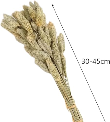 Ramo de flores secas 50 piezas beige para decoración miniatura 3