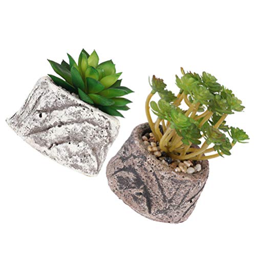 KESYOO 2 Pcs Plantas Suculentas Artificiais Em Vasos Criativo Mini Decoração Suculenta para Simulaçã