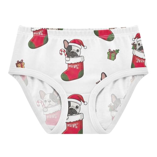Cartoon French Bulldogs Christmas Toddler Underwear Floral 2t Cotton Cute Panties Girl Designer Underpants Briefs