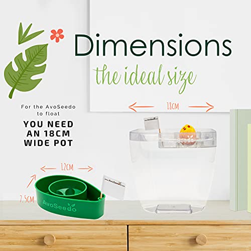 Avoseedo Avocado Tree Growing Kit – Practical Gardening Gifts For Women, Mom, Sister & Best Friend /Grow Avocado Plant Indoor With Unusual Pit Grower Boat /Kitchen Garden Seed Starter Gift #TOP6