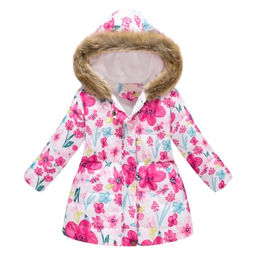 [HongzyFirm] _ExXg LbY j̎q ̎q _EWPbg y _ER[g L    t[ht K[Y  h h q R[g lC AE^[ WjA JWA ʉ ʊw o H ~