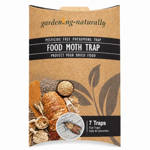 Image of Food Moth Traps Pesticide Pheromone Trap (Pack of 7)