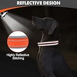 Joytale Halsband Hund, Weich Hundehalsband Gepolstert Neopren Hunde Halsband für Große Hunde, Nylon Reflektierend Breit Halsbänder, Orange