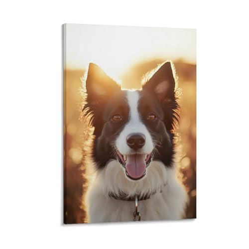Décoration murale Border Collie pour habiller un grand mur vide de chambre
