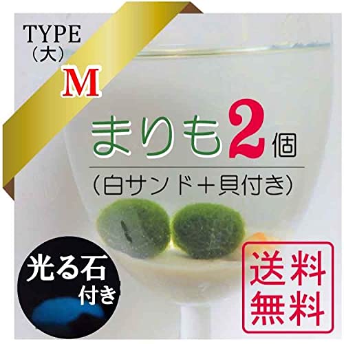 まりも商品 Amazon | レンプロ まりも3点セット M（標準） タイプ 光る石付き 全国