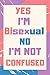 YES I'M Bisexual NO I'M NOT CONFUSED: Funny Bisexual Journal and Notebook For You Or For Your Friend GIFT (blank lined journal/notebook/diary ,120 pages ,6x9 inches)